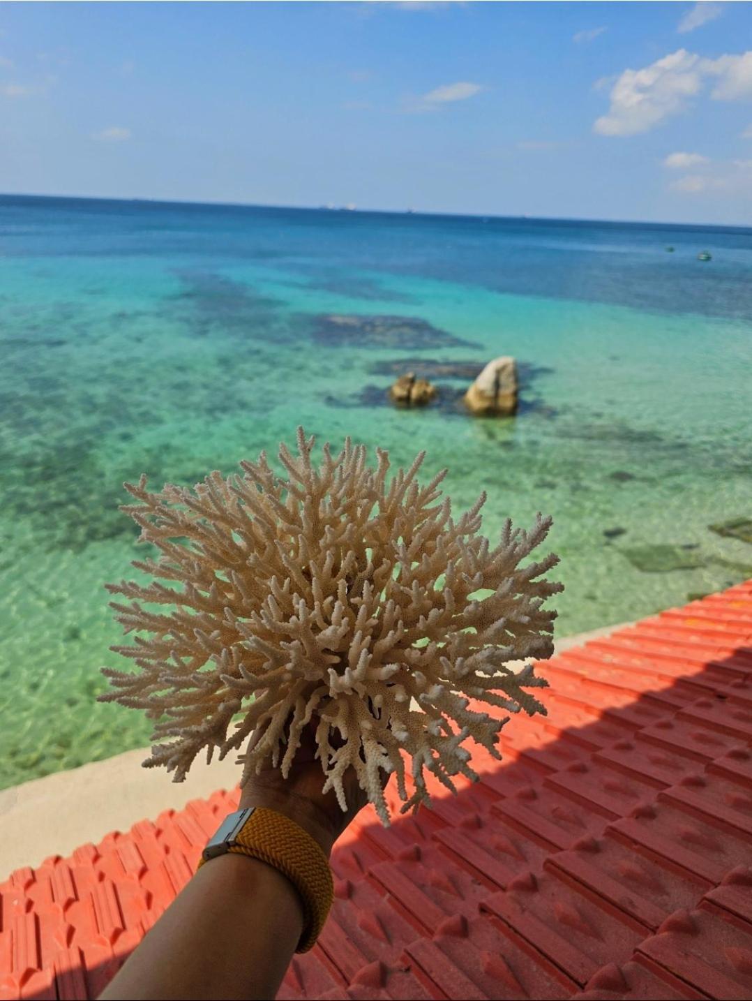 Mui Dinh Hotel Phan Rang Dış mekan fotoğraf
